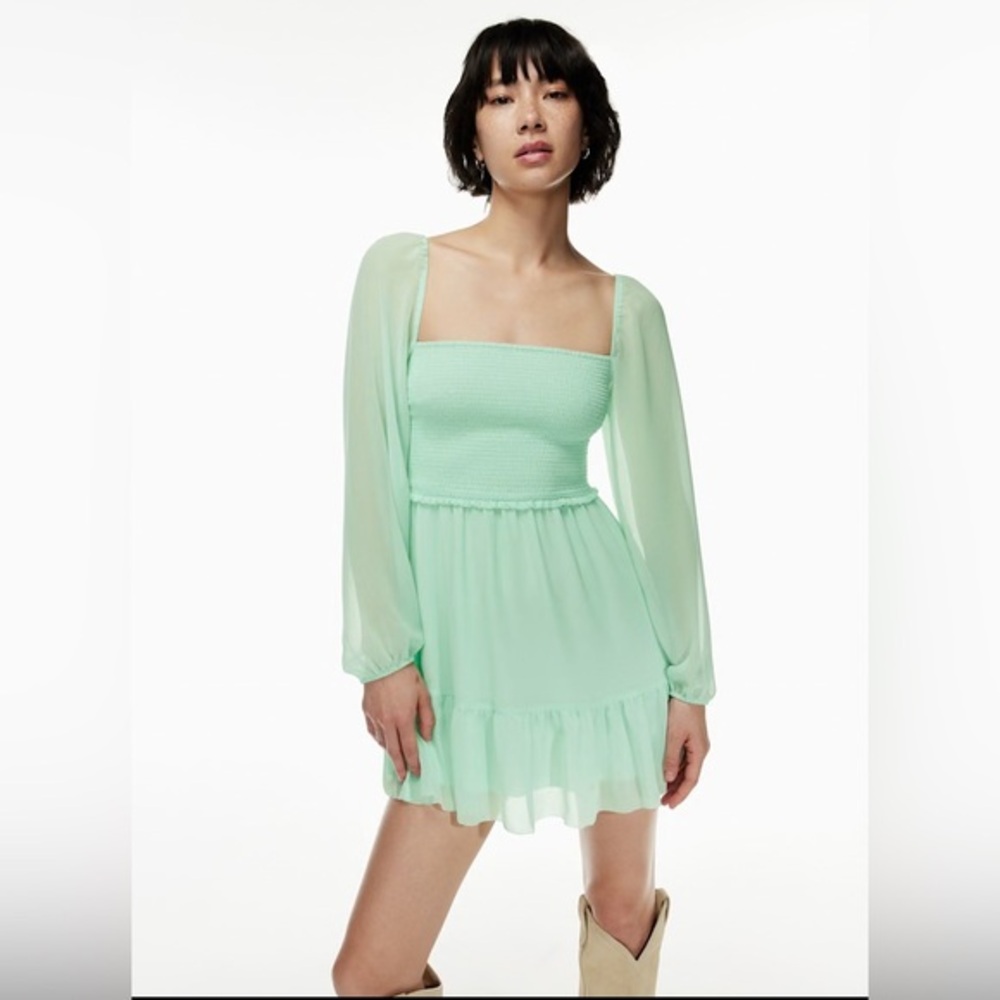 New Aritzia Wilfred Tempest Mini Dress Smocked chiffon mini dress